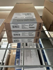 2019 ORYGINALNY EPSON T6069 JASNOCZARNY 220ml STYLUS PRO 4800 4880 NOWY ILOŚĆ 3 - Zdjęcie 1 z 1