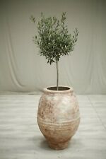 Antique Early 20th century Spanish olive pot- Grey/Green