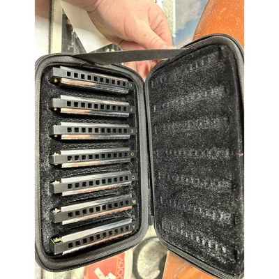 Juego de armónica Hohner Bluesband llaves de la A a la G con estuche 7 piezas Foto 1 de 4