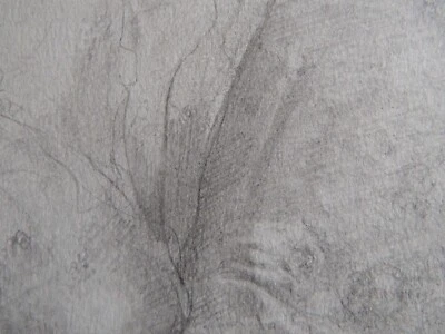 Original Tonal Pencil Drawing Illustration of a Nude Male Phallus Penis NSFW Art - Image 1 of 4