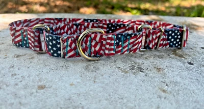 1 inch wide Adjustable Martingale Dog Collar Slip On American Flag Collar USA - Image 1 of 4