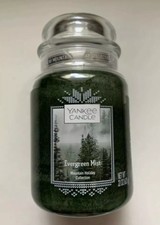 Yankee Candle Evergreen névoa 22 Oz Jar Nova fragrância Lge Mountain Holiday Collection