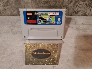 SNES Super Nintendo Sensible Soccer European Champions Modul FAH - Picture 1 of 6