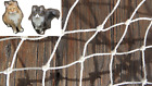 Katzenschutznetz Netz drahtverstärkt hellgrau 3m hoch Balkon für Katzen bis 10kg