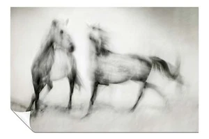 Black & White Horses Blurry Sketch Artistic Poster Wall Art Home Decor - Picture 1 of 4