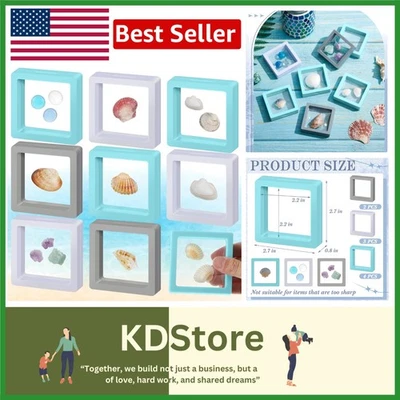 Colorful Seashell Display Boxes - 9 Pack for Coastal Collectibles - Image 1 of 4