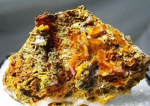 Wulfenite crystals on matrix - Red Cloud mine, La Paz county, Arizona - Picture 1 of 8