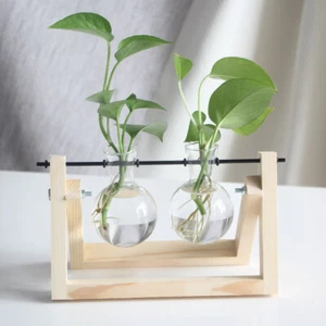 Creative Hydroponic Pflanze Transparent Holzrahmen Vase Tischmöbel - Bild 1 von 15