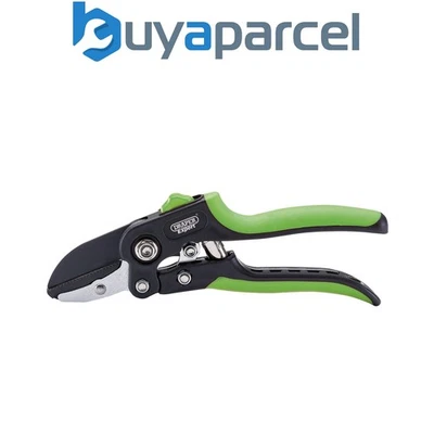 Draper 94983 Draper Expert Anvil Pattern Secateurs, 200mm - Image 1 of 4