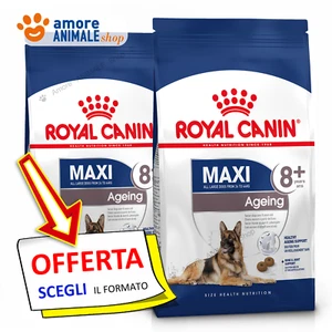 Royal Canin Dog → Adult MAXI AGEING 8+ - 3 / 15 kg - Crocchette Cane, Secco Cani - Foto 1 di 3