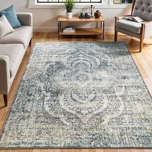 Salford Abstract Medallion Vintage Plush Polypropylene Indoor Area Rug or Runner - Picture 1 of 17