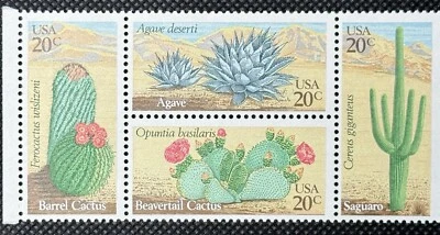 Block of 4 stamps - Scott 1942-45 - 20 cent - Cactus - 1981 - MNH - Image 1 of 2