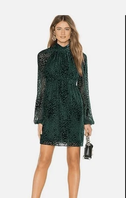 A.L.C. Vestido Nadia Terciopelo Burnout Talla 4 Esmeralda Vacaciones Guepardo Mob Esposa Transparente Foto 1 de 4