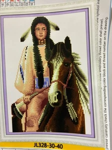 Beautiful Native American Woman On Horse Printed Cross Stitch Kit - Picture 1 of 3