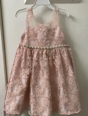 Girls Wedding Princess Formal Dress Pink Lace Pearls Rhinestones Size 4T Costume - Image 1 of 4