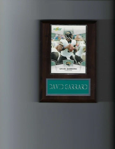 DAVID GARRARD PLAQUE JACKSONVILLE JAGUARS FOOTBALL NFL   C Cover