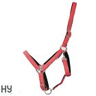 Glitzy Headcollar by Hy Equestrian   Comfortable   Fully Adjustable   Padded