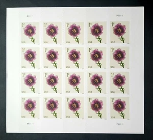 2024 USA #5897 1c Fringed Tulips - Sheet of 20 Mint NH    flower - Picture 1 of 2