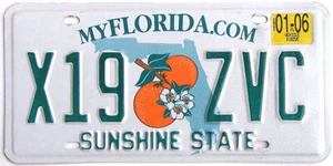 FLORIDA Nummernschild (ZUFALLSSCHILD#) *BESCHREIBUNG LESEN - Bild 1 von 1