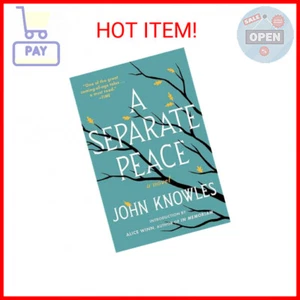 A Separate Peace Paperback – September 30, 2003 - Picture 1 of 1