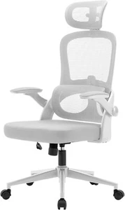 SIHOO M102C-M102Ergonomic Office Chair, Computer High Back Chair with Dual Back - Picture 1 of 9