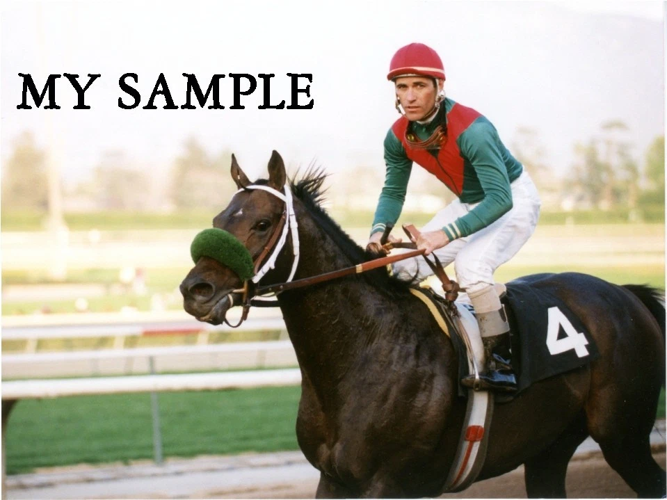 ESTRELLA DE COZCENO 1993 SAN MARCOS GANADOR DISCAPACITADO SANTA ANITA FOTO 8 X 10 #4 Foto 1 de 1