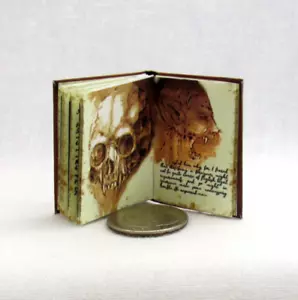 1:6 Scale VAN HELSING DIARY Readable Illustrated Miniature Book Playscale Vampir - Picture 1 of 10
