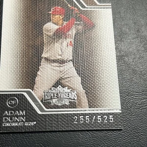 Btt 2008 Topps Triple threads /525 #247 Adam Dunn Cincinnati Reds - Picture 1 of 3