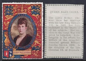Lord Roberts Memorial Fund Cinderella Queen Alexandria Free Postage LR1e - Picture 1 of 1