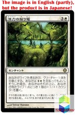 Magic: The Gathering MTG Jpver Foil Cradle of Vitality ALA Rare