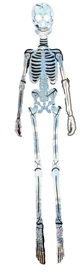 5 FT 60" Silver Laser Paper Cutout Jointed Skeleton Halloween Haunted House - Image 1 of 2