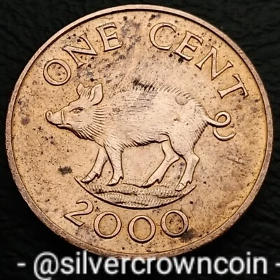 Bermuda 1 Cent 2000. KM#107. One Penny coin. Elizabeth II. Wild Boar. Animals. - Image 1 of 4