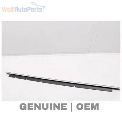 AUDI A8 QUATTRO 2004-2010 - PUERTA TRASERA DERECHA EXTERIOR/AJUSTE VENTANA/SELLO RANURA Foto 1 de 4