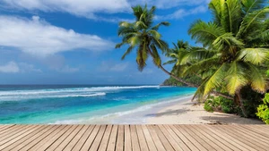 Beautiful Beach Scenery with Palm tree Blue Sky High Quality Poster Free Deliver - Picture 1 of 1
