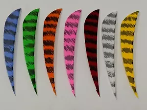 Archery Past 4" Parabolic Barred Feathers - 12 Pack, RW or LW - Picture 1 of 1
