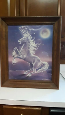 Cuadro de Pared Unicornio Marco De Colección Bajo Vidrio 24.25"H X 20.5"W X 2.25"D Est Foto 1 de 4