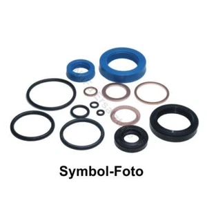 Dichtsatz für Hubwagen Pramac Lifter GS Premium (Dichtung, Hydraulik)