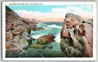 York Beach, Maine ME - Thunder Rock and Surf - Vintage Postcard - Posted