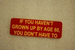 IF YOU HAVE NOT GROWN UP BY AGE 60 YOU DONT HAVE TO (Fun Badges) - Picture 1 of 1