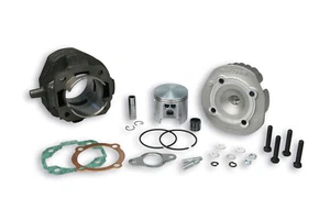 318691 GRUPPO TERMICO MALOSSI D.55 VESPA 50/APE 50 GHISA - Foto 1 di 1