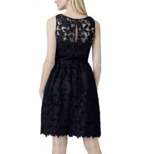 Adrianna Papell Lace Dress Dove MIDNIGHT SIZE 8 #320 NWT - Picture 1 of 3