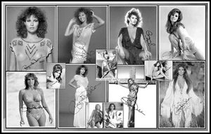 Raquel Welch, Signed, Collage Cotton Canvas Image. Limited Edition (RW-3) - Picture 1 of 1