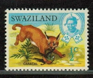 Swaziland Eswatini SG160 Caracal 1969 1/2 Cent Stamp MHR Fast Free US Shipping - Picture 1 of 2