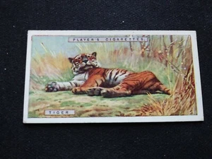 1924 John Player & Sons Natural History Card # 45 Tiger (VG/EX) - Picture 1 of 3