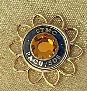 Vintage PACU Same Day Stay Nurse Pin Brooch 14k GP STMC Hospital Yellow Beryl - Picture 1 of 5