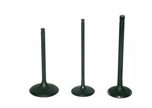 SP 1004667 PROX Einlassventil Titan - Yamaha YZ450F  passend fuer YAMAHA WR 450  - Bild 1 von 1