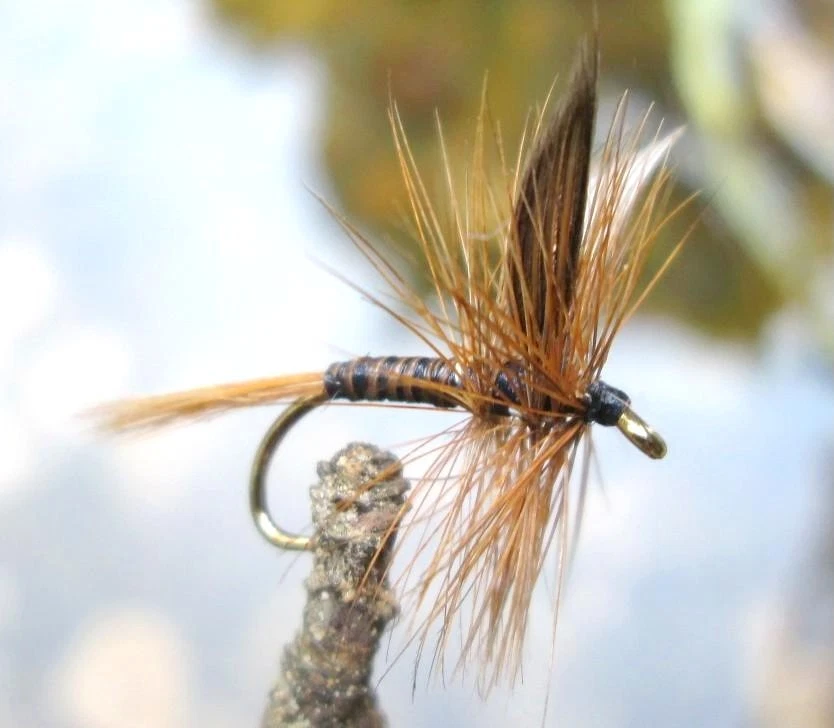 Gilchrist Fliegen. 3 x Trockenfliegen GINGER QUILL.  Auswahl von Größen. - Bild 1 von 1