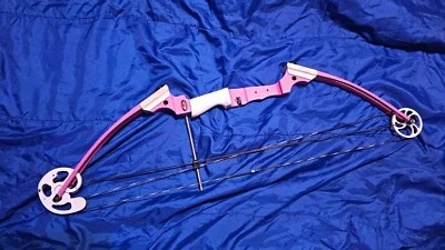 Mini arco juvenil rosa Genesis modelo de tiro con arco derecho # 12075 Foto 1 de 2