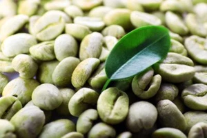 2-40lb Costa Rica Tarrazu * Specialty Grade * Premium Unroasted Green Coffee - Picture 1 of 5