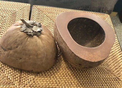 Contenedor/tazón de almacenamiento de coco natural  Foto 1 de 4